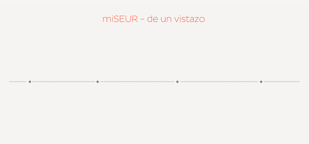 miSEUR - de un vistazo